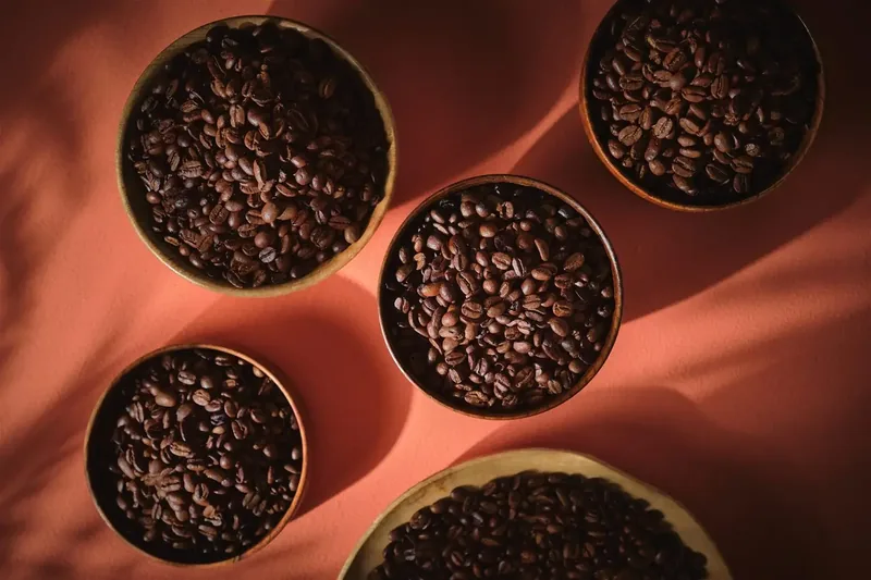 Torrcaffe Premium